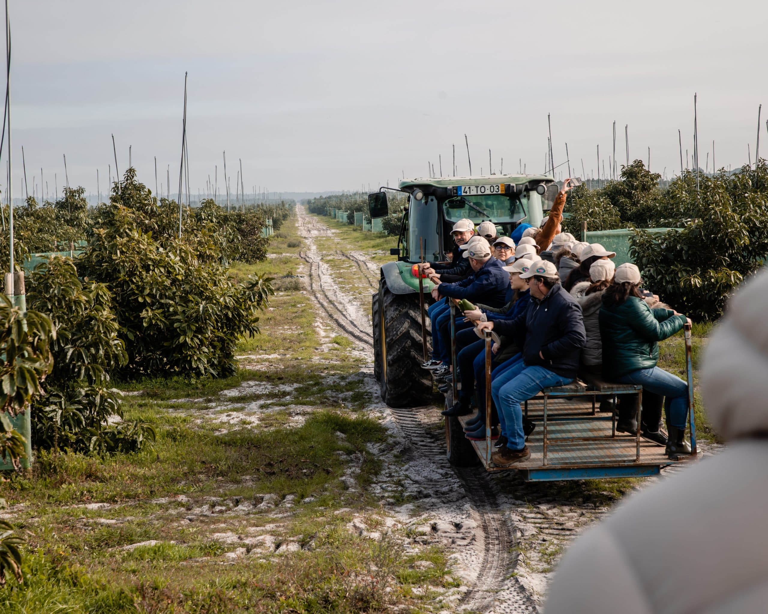 Equipa Granfer na colheita